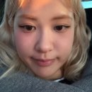 로제 카카오 검색결과