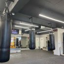 하이복싱체육관 이미지