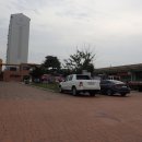 구기자 약초시장 이미지