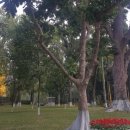 우송대학교(산업대) 이미지