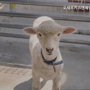 패밀리키즈풀 이미지