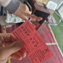 선선오리 | 여의도 데이트 코스 추천｜오리배 가격, 한강 산책, 여의도감 후기까지❤️