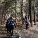 부산진구-14 이미지