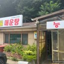 마곡 근교 맛집) 파주 능골매운탕 - 테이 닭도리탕 맛집, 파주 콩치노 콩크리트