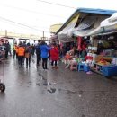 안녕동해야 이미지