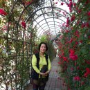 송학동 주민센터 이미지