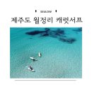 제주도여행 월정리 초보 서핑 강습 내돈내산 후기 캐럿서프