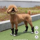 청키딩키 | 할 말이 많아서 그래