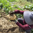 미쁨스토어 이미지