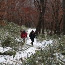 상원사샘터 이미지