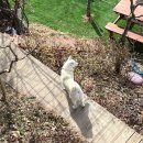 위드제이(WITH J) 이미지