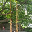 은하커피숍 이미지