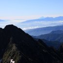 머리하는별 이미지