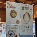 동래디저트카페, 20종류가 넘는 브로쓰마카롱