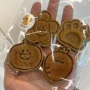 반피나(banpina) | [반피나] 남양주 3층짜리 루프탑이 있는 신상 애견카페 ㅣ 알러지 있는 강아지들 가볼만한곳
