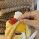 레이지베어 이미지