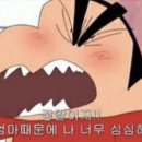 꼽사리 네이버블로그