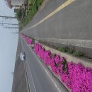 민지발전소 이미지