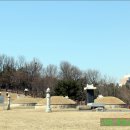 최혼선생묘 이미지