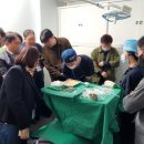 로즈성형외과의원 이미지