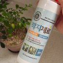 친환경 천연 해충제 깍지제로 사용 후기, 깍지벌레 응애벌레 제거 오렌지자스민 야자나무 고무나무