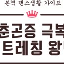 댄스왕 이미지