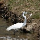 배다리공원 이미지