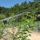 한동농장 이미지