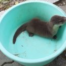 도원공원 내 이미지