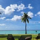 고고크라운 이미지