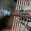 세대지하 집수정 펌프모터 고장분 교체(25년 06월10일) 이미지