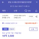 분당-369 티스토리