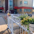 해솔유치원 이미지