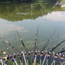 부일다방 이미지