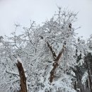 #주발봉.호명산