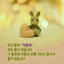 모두사랑 이미지