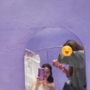 한채미헤어