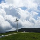 하늘목장 이미지