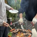 스테이꾸꾸 이미지