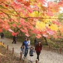 함양물레방아떡마을 이미지