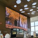 가든갤러리 이미지