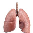 폐 결절 관찰 후 조직검사 결과 폐암…&#39;진단일&#39; 언제일까 이미지