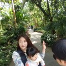 부국개발주식회사 여미지식물원 | 여미지 식물원, 제주도 아이와 여행 필수 코스