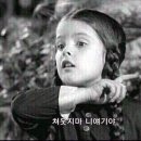 채널 좀비왕
