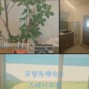 스테이루하