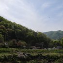 희망야채 - 여주시 백자1길 7 | 희망야채