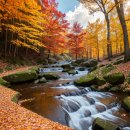 애월애 민박 이미지