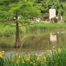 보라매공원 이미지