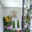 삼성일신약국 이미지