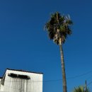 제주 아모제 | [제주숙소] 법환포구 가성비 오션뷰 펜션 &#39;아모제펜션&#39;